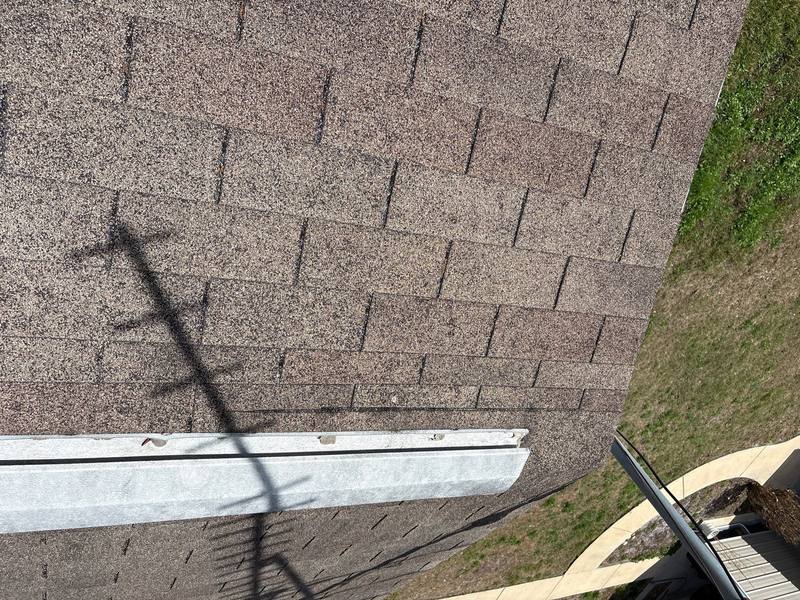 residential shingle roof replacement by Hloska Roofing in Lutz