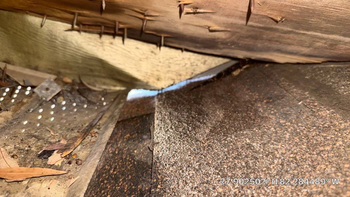 roof repair in Brandon, Florida