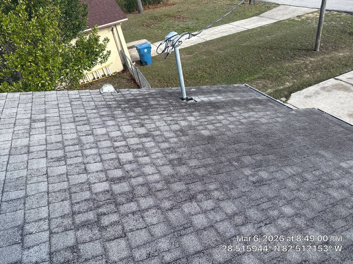 shingle roof replacement in Spring Hill, Florida