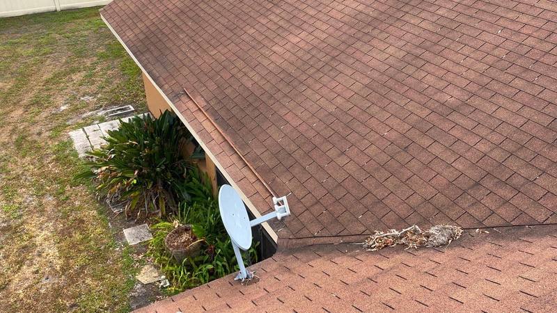 roof replacement in Tampa, Florida