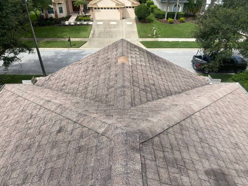 roofing project near Auston Way in Palm Harbor