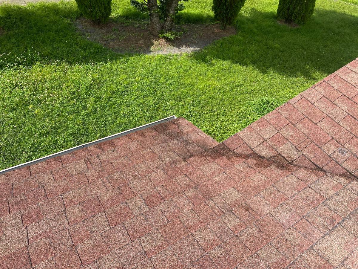 roof replacement in North Port, Florida