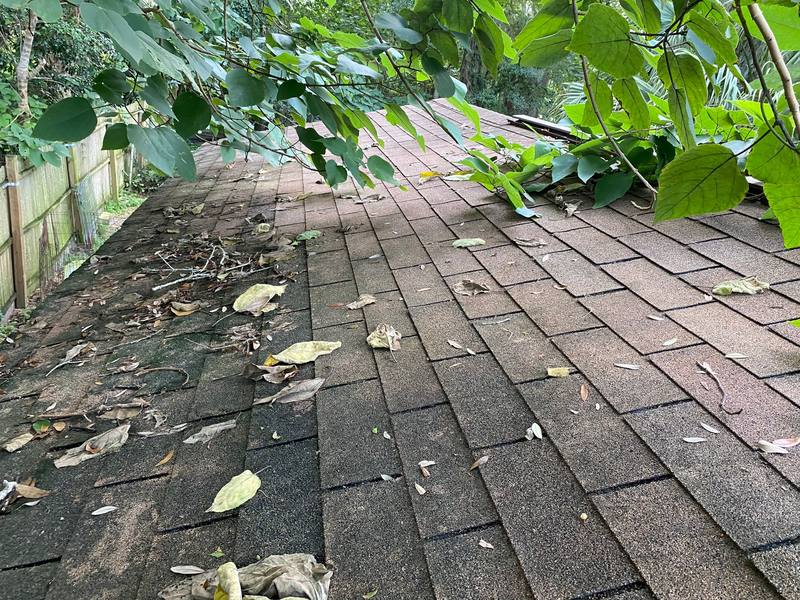 roof replacement in Ormond Beach, Florida