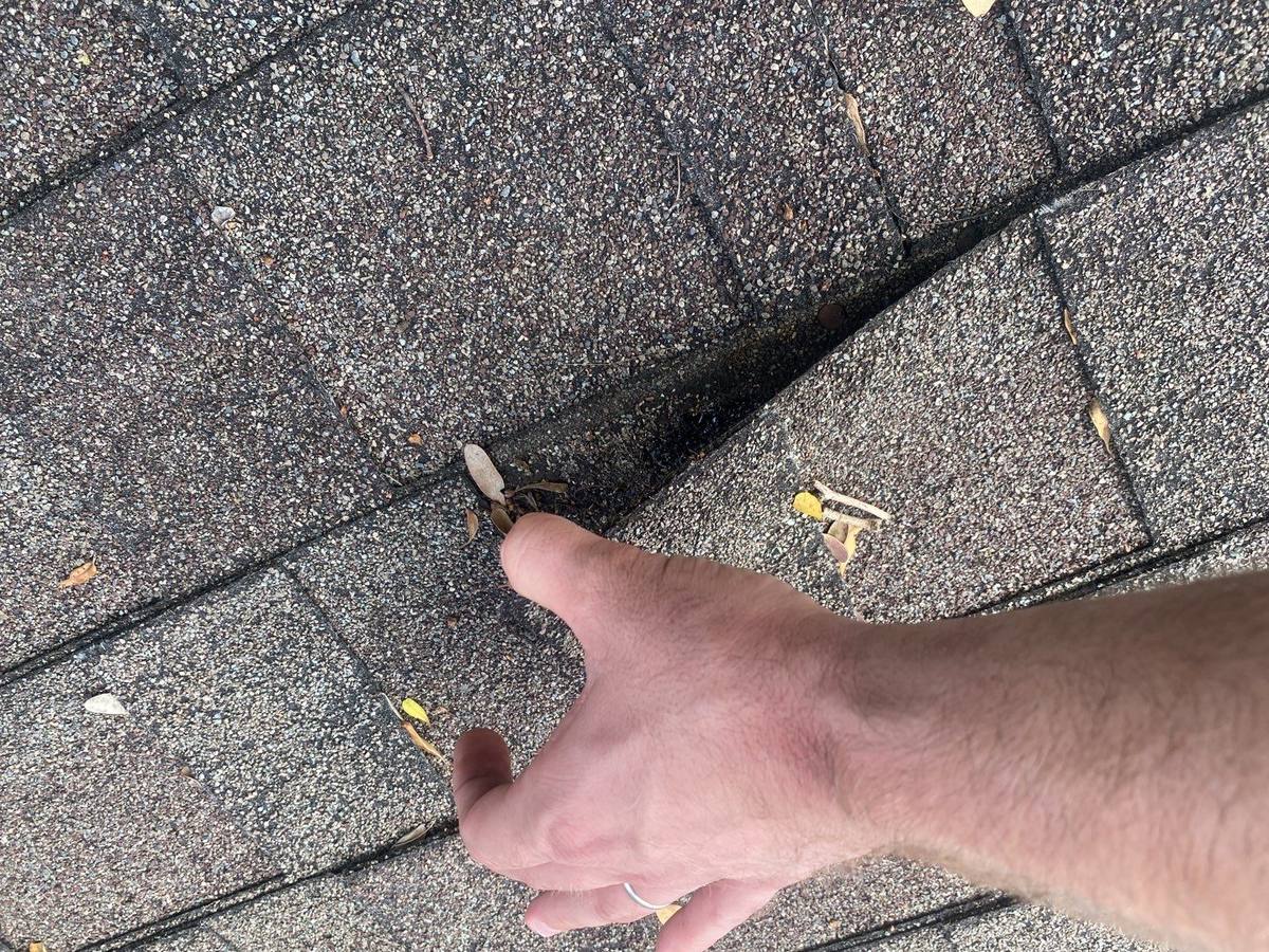 roof replacement in Punta Gorda, Florida