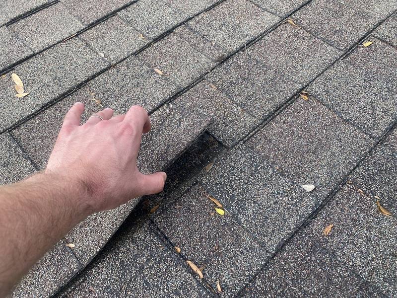roofing project near Palm Ave in Punta Gorda