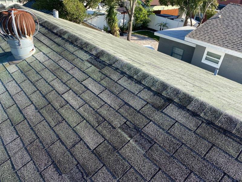 residential roof replacement by Hloska Roofing in Tampa