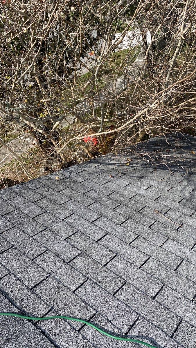 roof replacement in Safety Harbor, Florida
