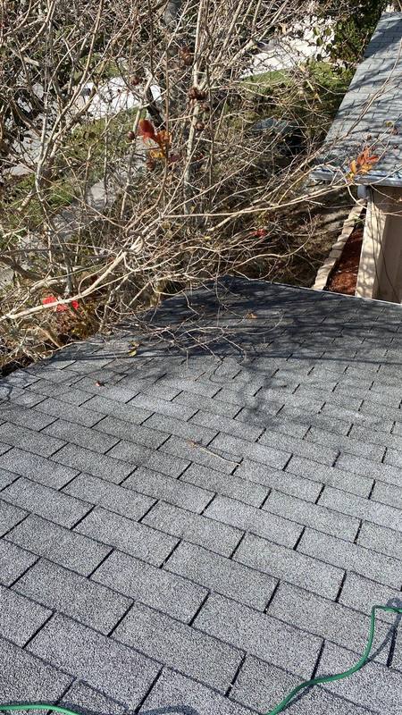 roofing project near Lotus Dr in Safety Harbor