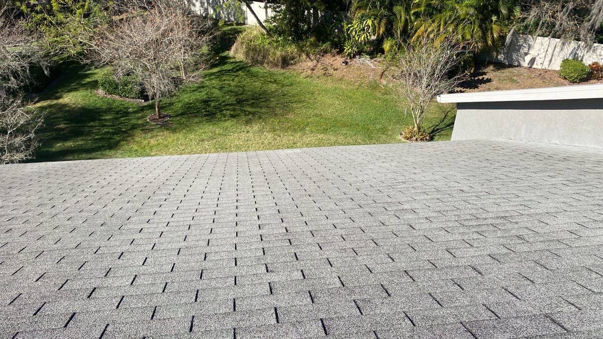 roof replacement in Palm Harbor, Florida
