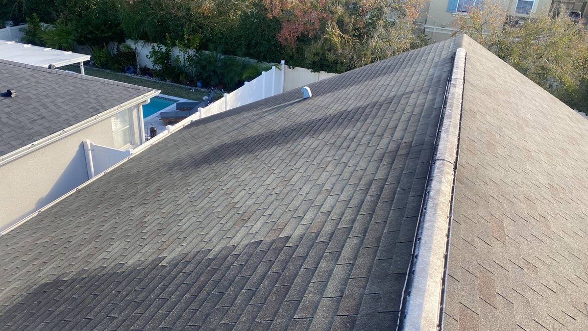 roof replacement in Land O' Lakes, Florida