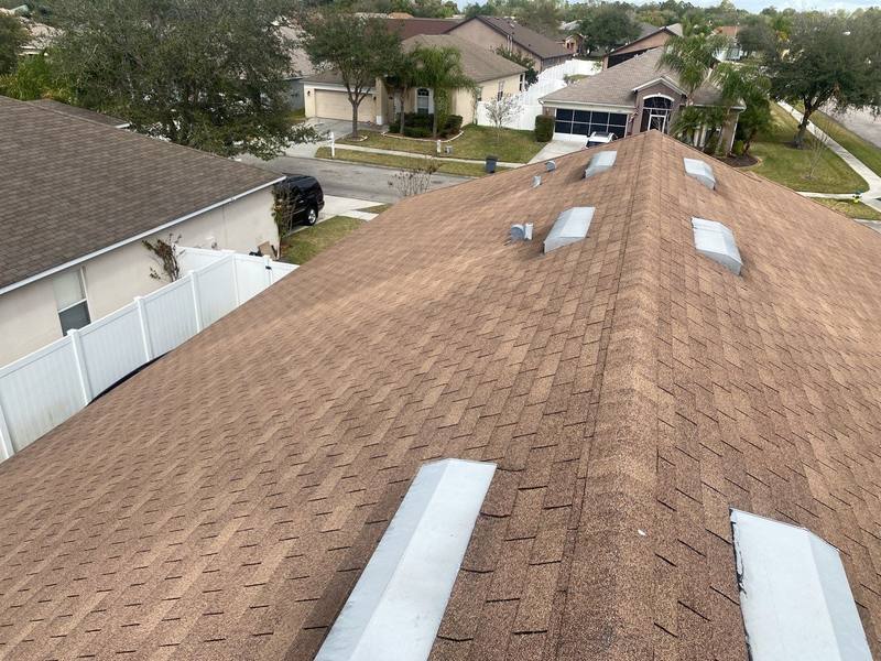 roofing project near Smart Dr in Zephyrhills