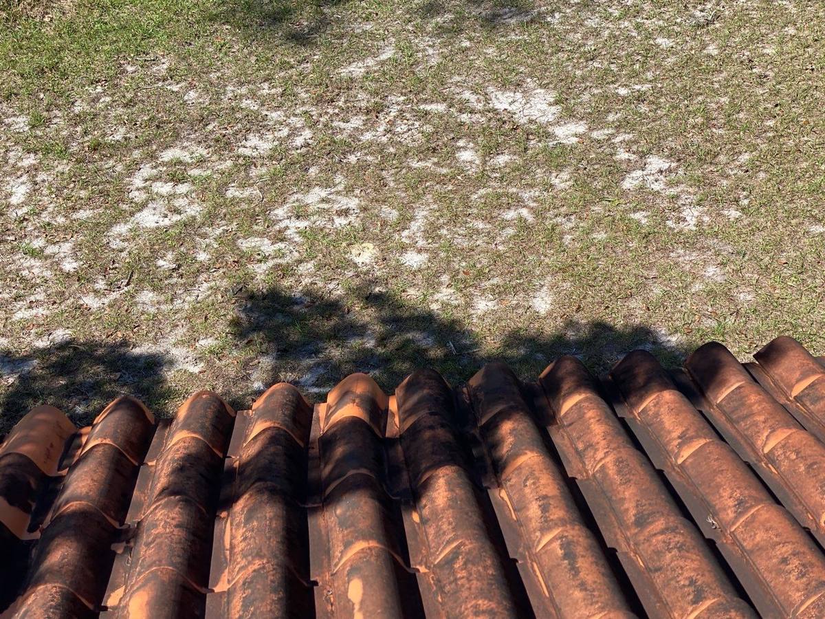 roof replacement in New Port Richey, Florida