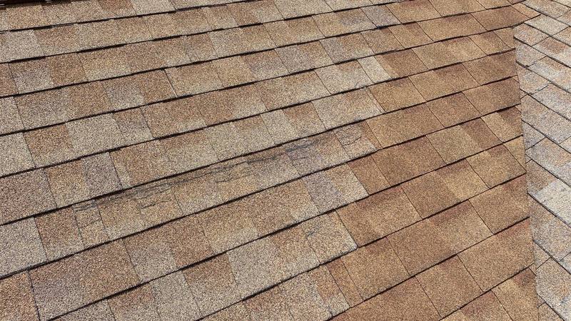 roof replacement in Sarasota, Florida