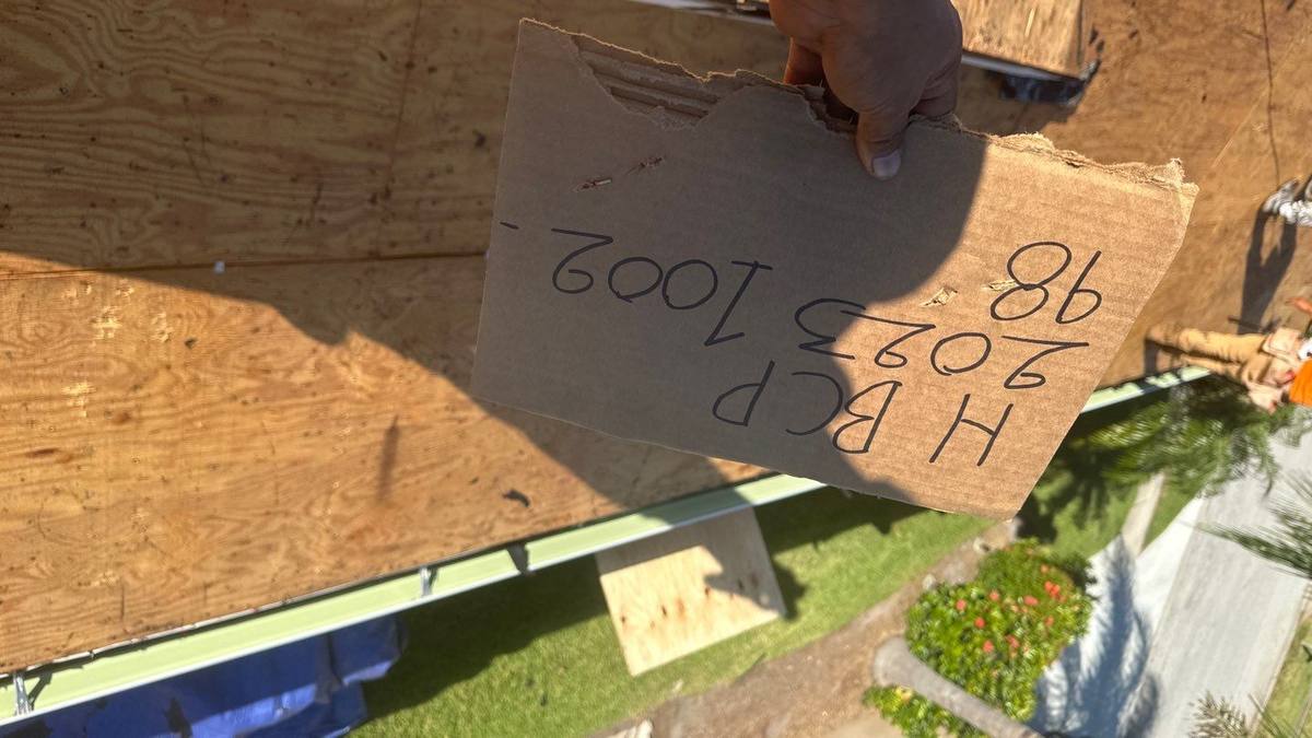 roof replacement in Palm Harbor, Florida