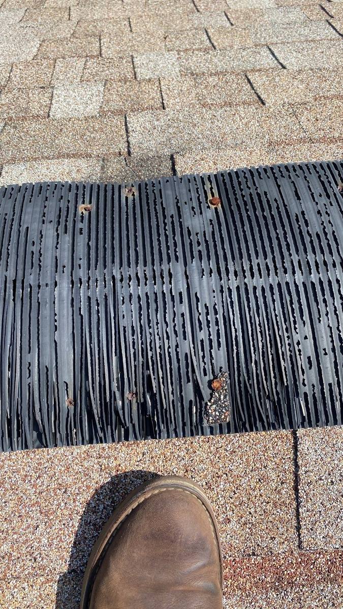 roof replacement in Cape Coral, Florida
