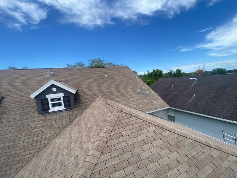 roof replacement in Land O' Lakes, Florida