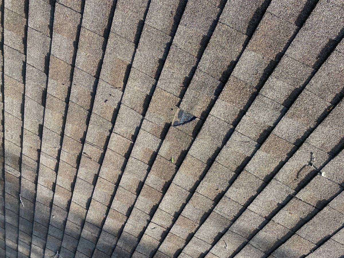roof replacement in Palm Harbor, Florida