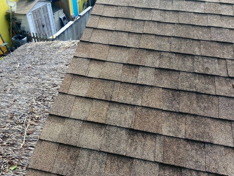 roofing project near Glengary Ln in Palm Harbor