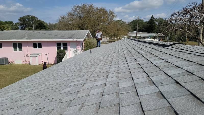 roof replacement in Palm Harbor, Florida