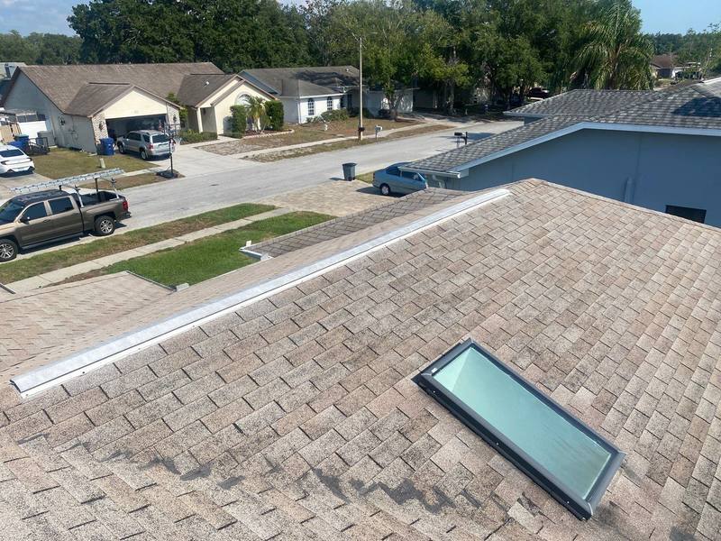 roof replacement in New Port Richey, Florida