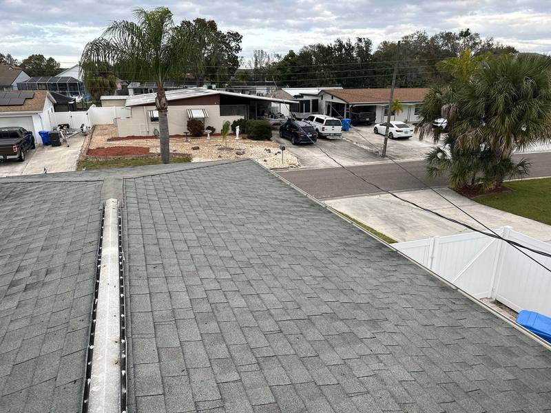 roofing project near Dowry Ave in Tampa