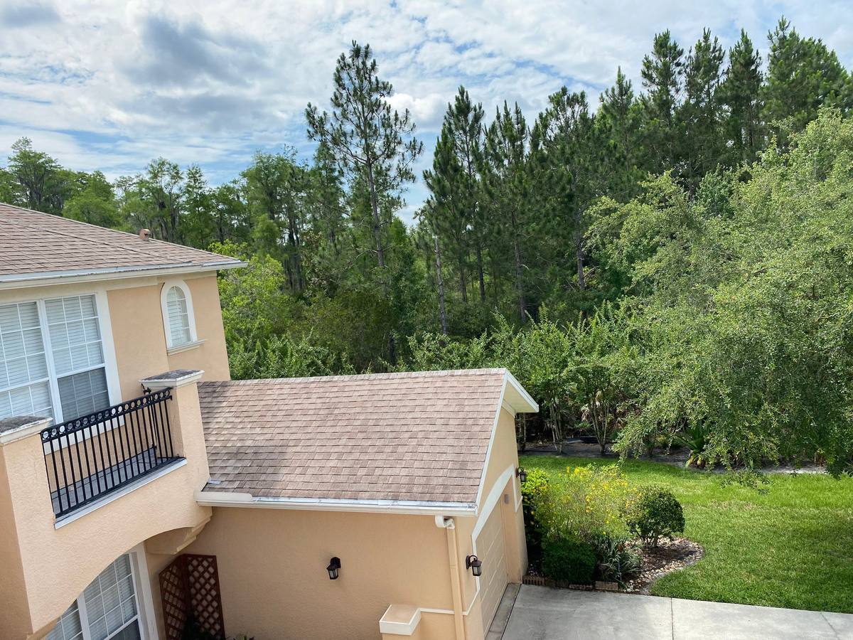 roof replacement in Tampa, Florida
