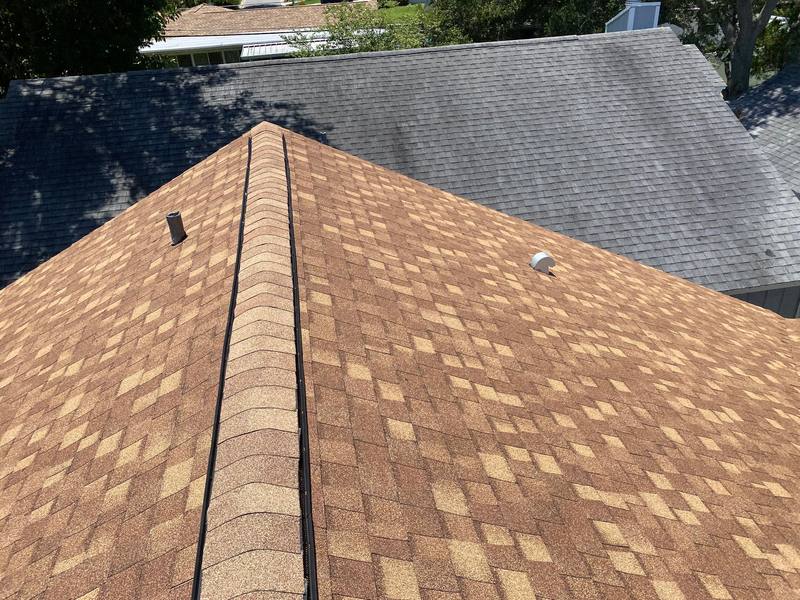 roofing project near Thistle Ct in Dunedin