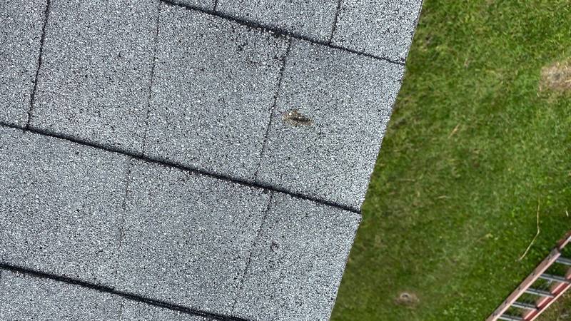 roof replacement in Cape Coral, Florida
