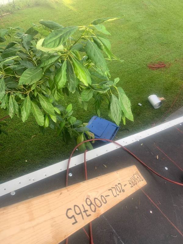 roof replacement in New Port Richey, Florida