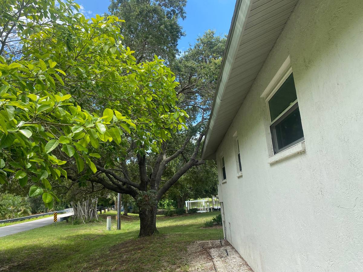 roof replacement in Placida, Florida