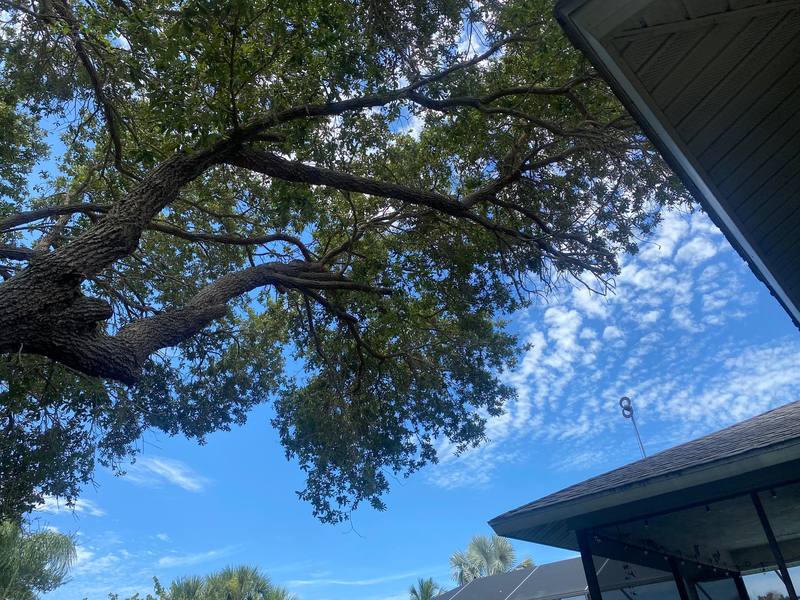 roof replacement in Placida, Florida