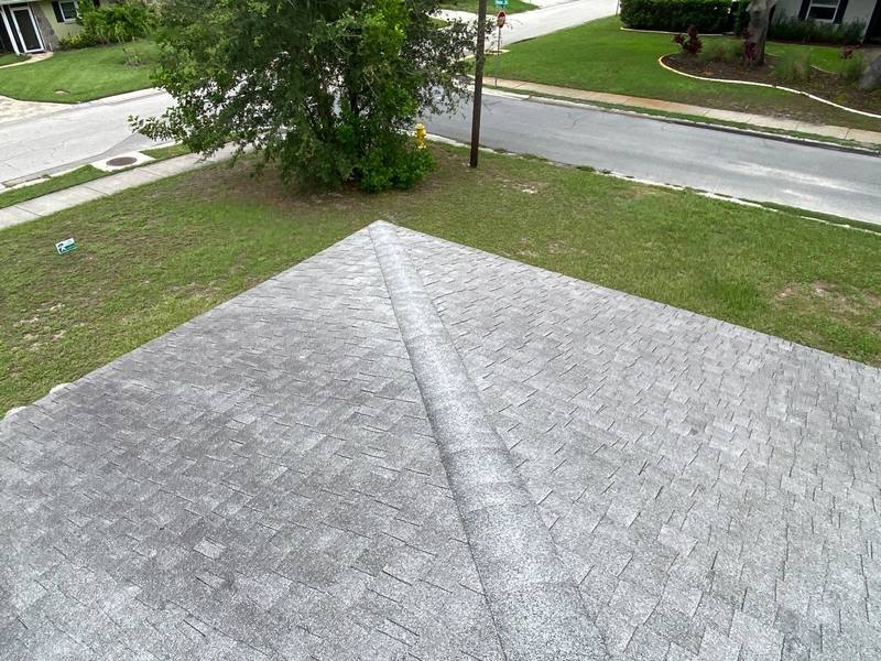 roofing project near Patricia Ave in Dunedin