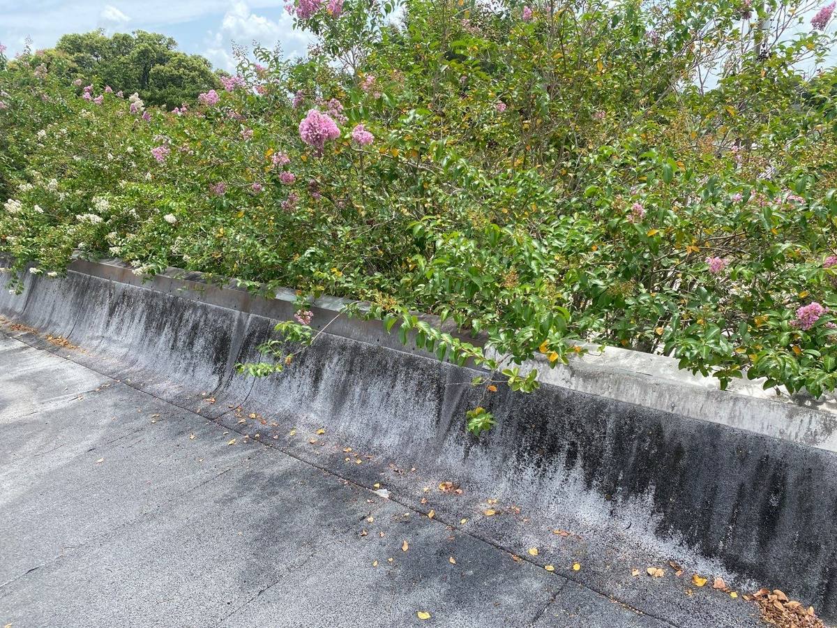 roof repair in Zephyrhills, Florida
