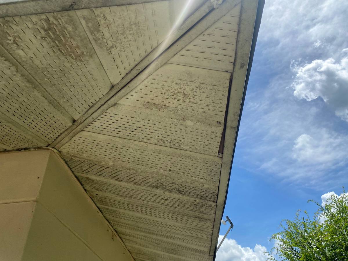 roof replacement in Dade City, Florida