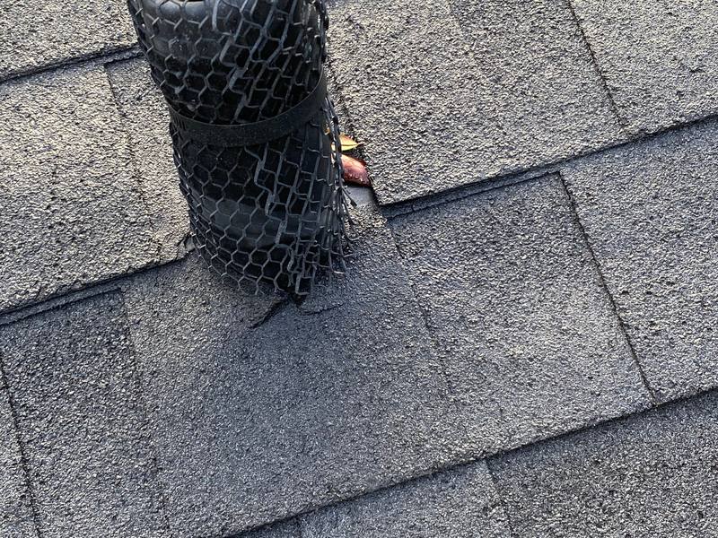 residential roof replacement by Hloska Roofing in Tampa