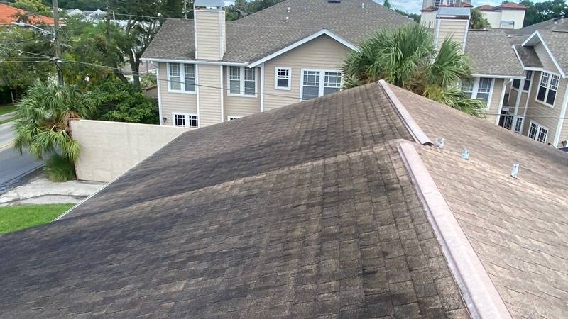 residential roof replacement by Hloska Roofing in Tampa