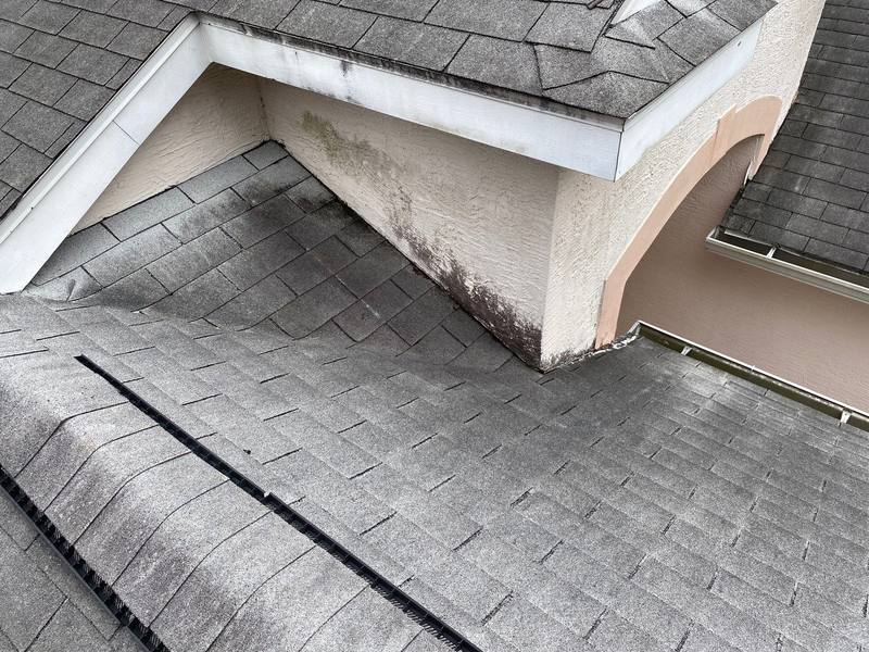 roofing project near Conway Pl in Tampa