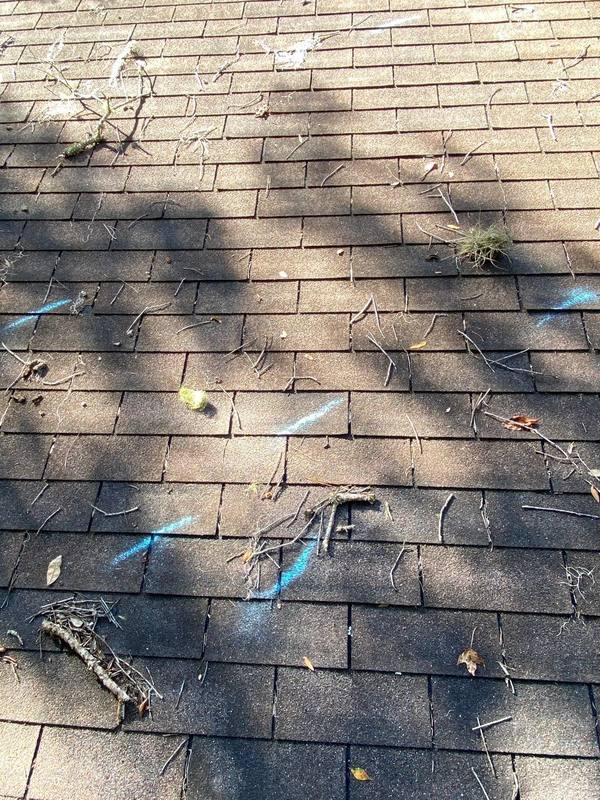 roof replacement in Gainesville, Florida