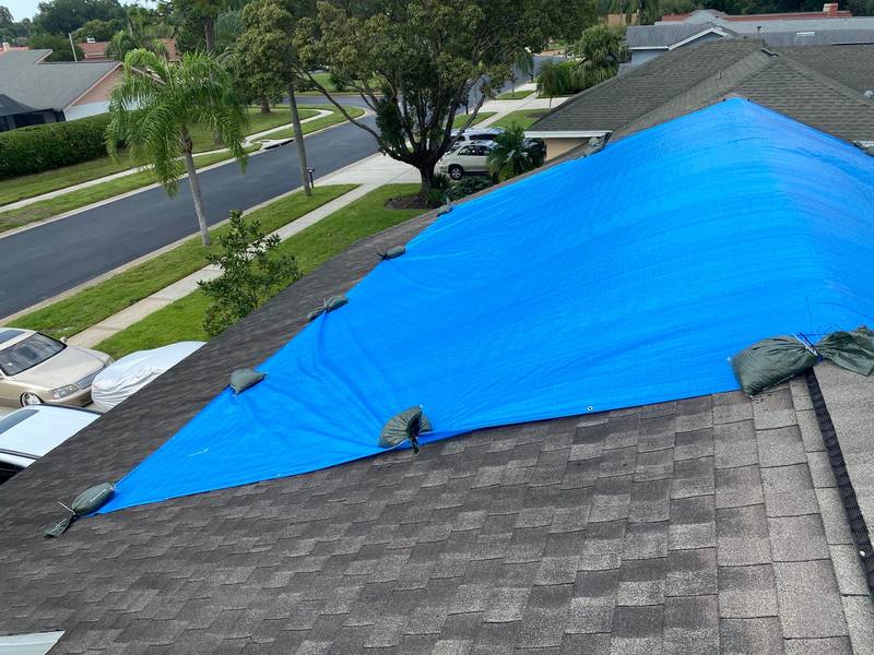 roofing project near Windber Blvd in Palm Harbor