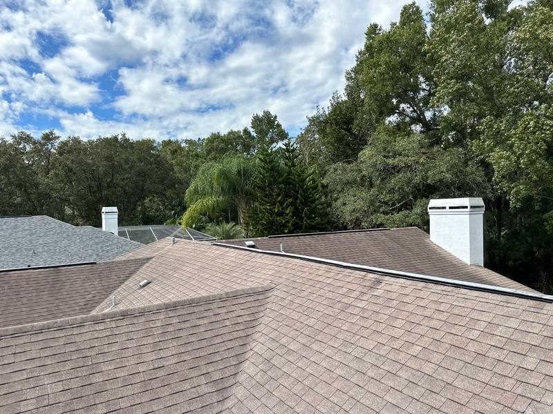 roof replacement in Tampa, Florida