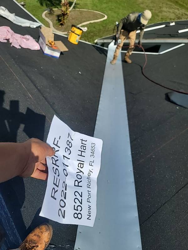 roof replacement in New Port Richey, Florida