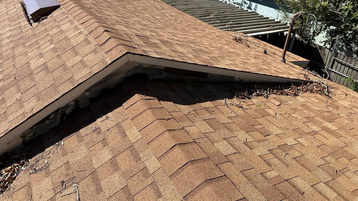 roof replacement in Tampa, Florida