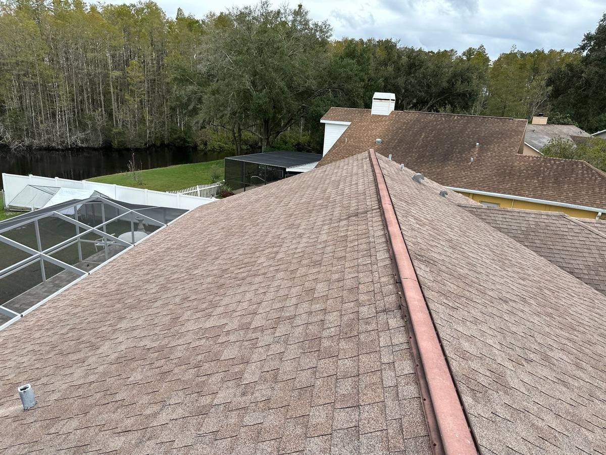 roof replacement in New Port Richey, Florida