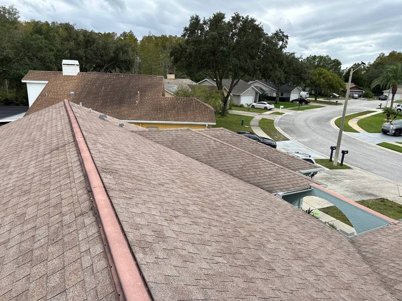roof replacement in New Port Richey, Florida