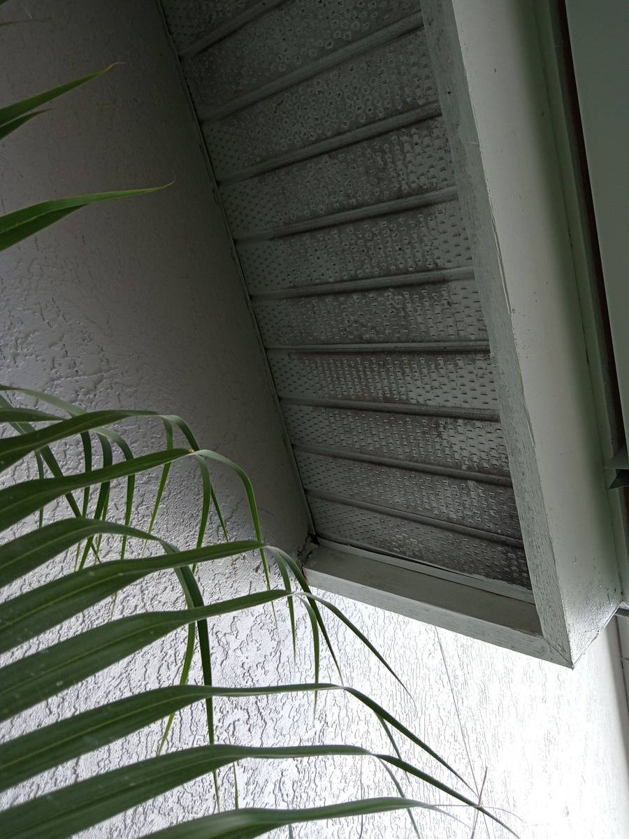roof replacement in Naples, Florida