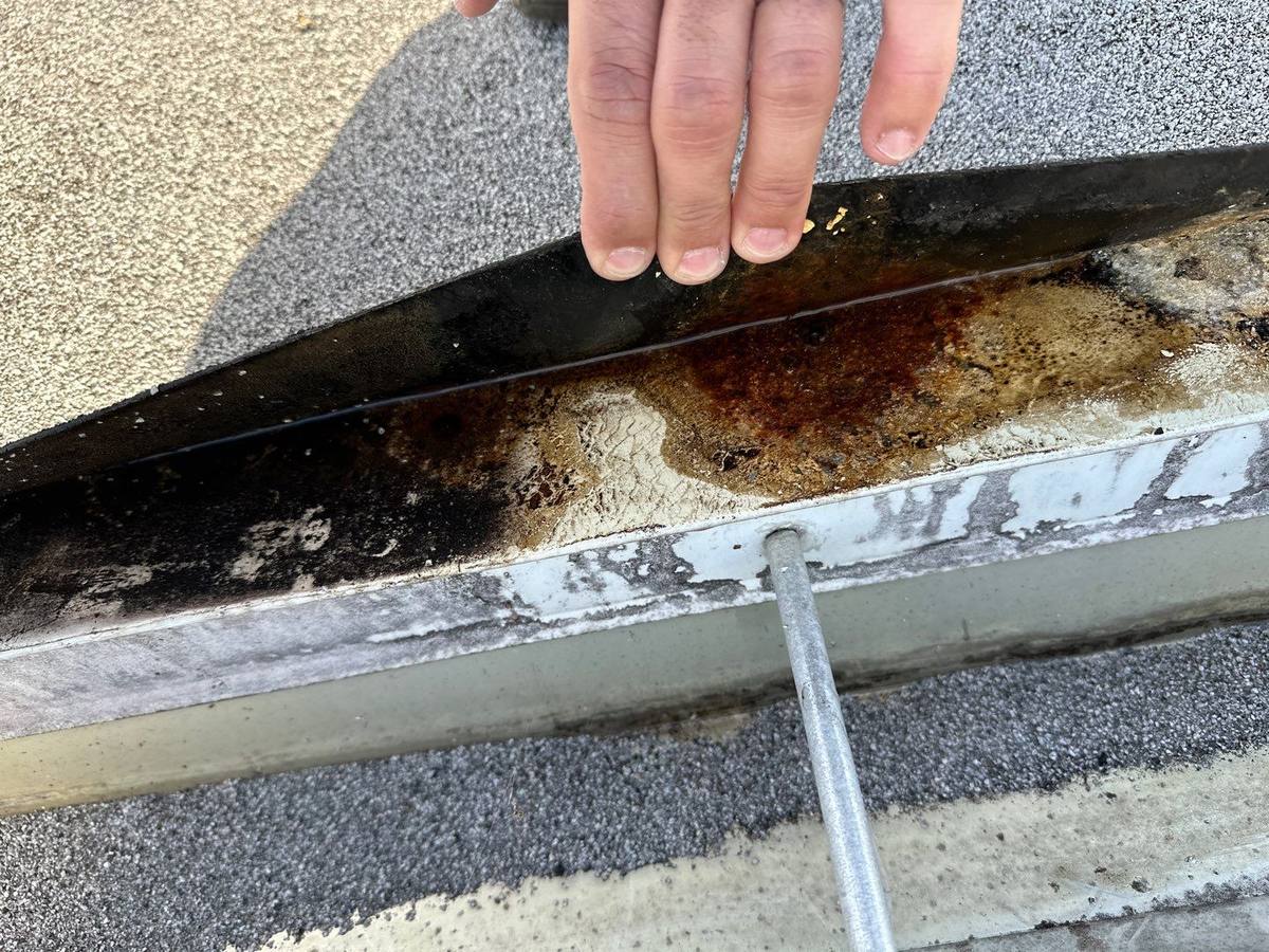 roof replacement in Sarasota, Florida
