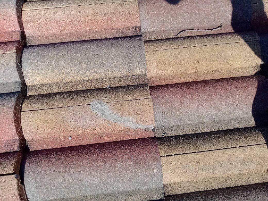 roof replacement in Venice, Florida