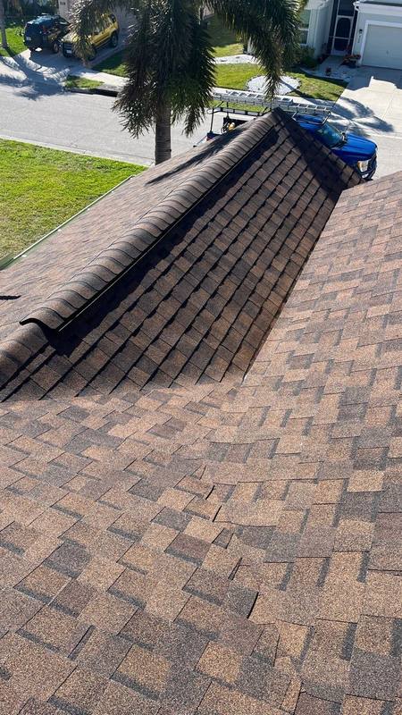 residential roof replacement by Hloska Roofing in Venice