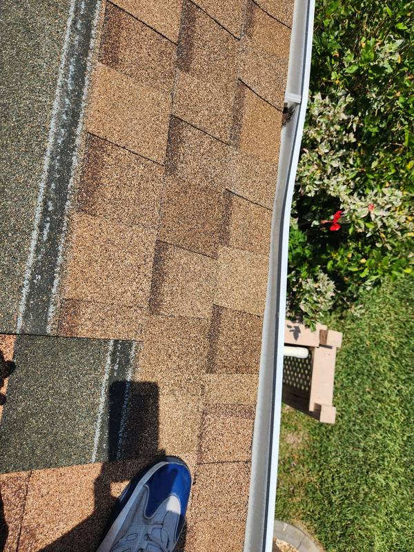roofing project near Appleton Blvd in Port Charlotte