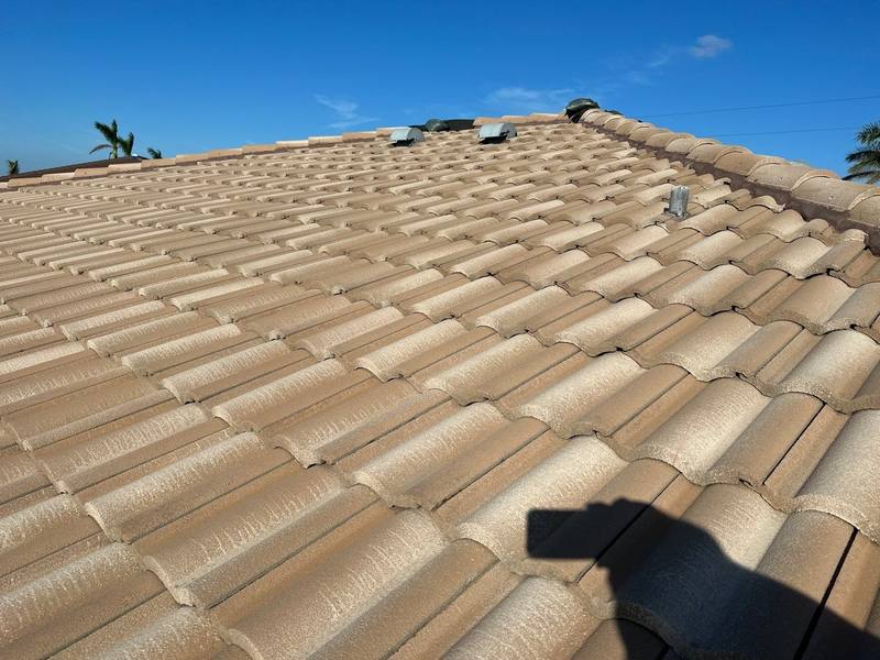roof replacement in Punta Gorda, Florida